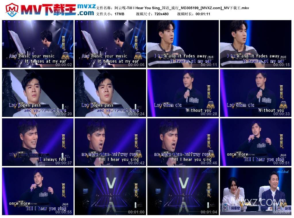 阿云嘎-Till I Hear You Sing_国语_流行_MD305199